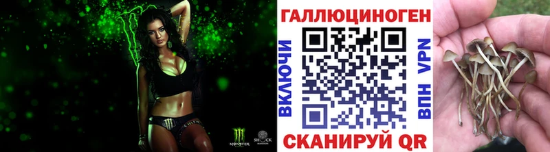 KRAKEN зеркало  Баймак  Псилоцибиновые грибы прущие грибы 